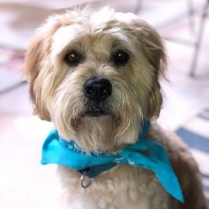 Meet your Posher, Eva